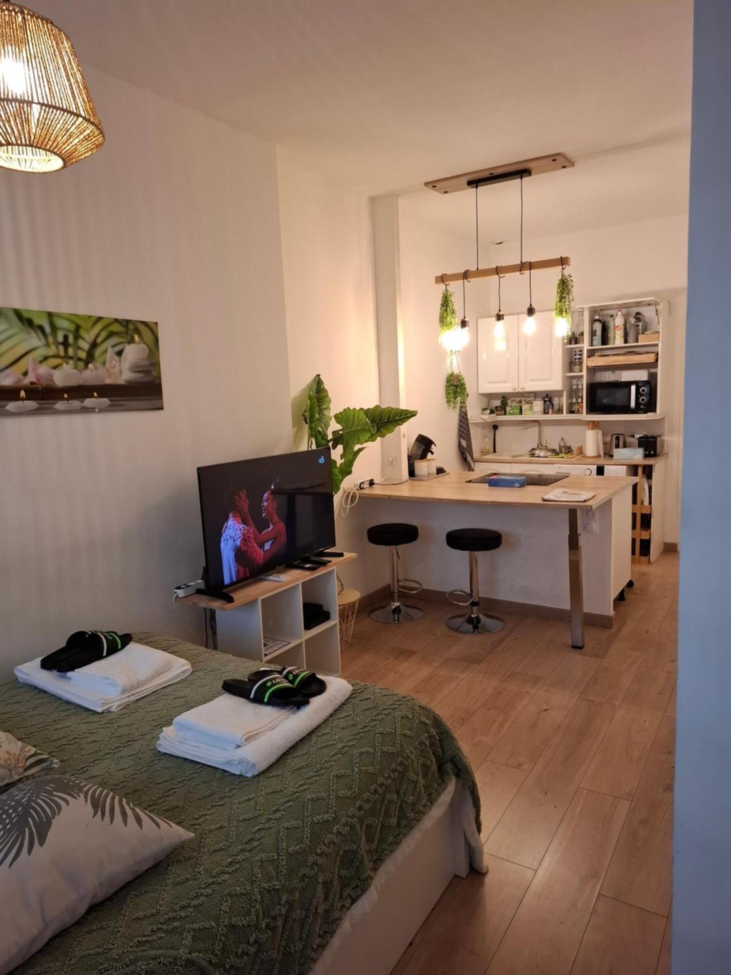 Studio La Casa De Planel Gare Saint Roch 몽펠리에 외부 사진