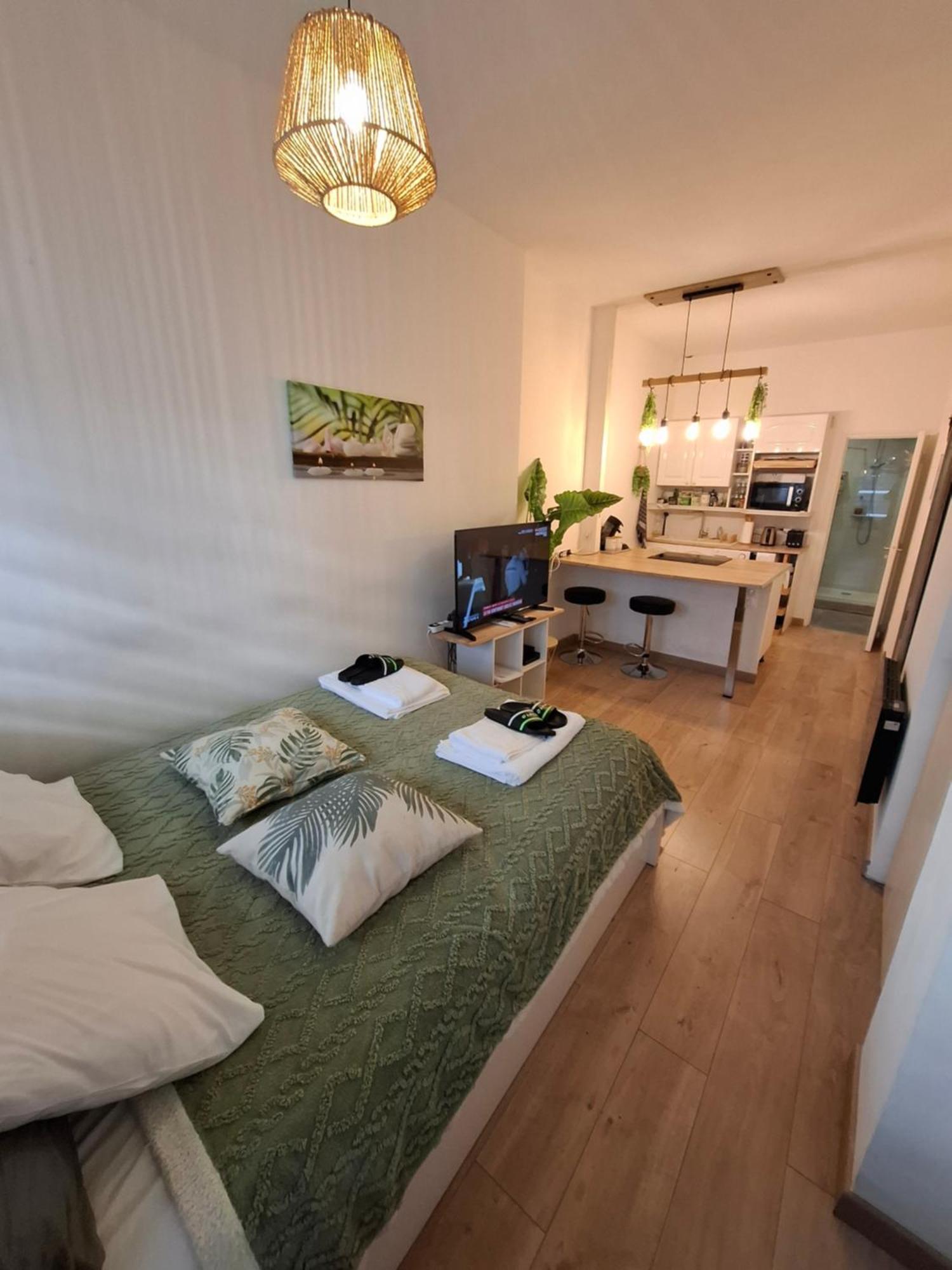 Studio La Casa De Planel Gare Saint Roch 몽펠리에 외부 사진